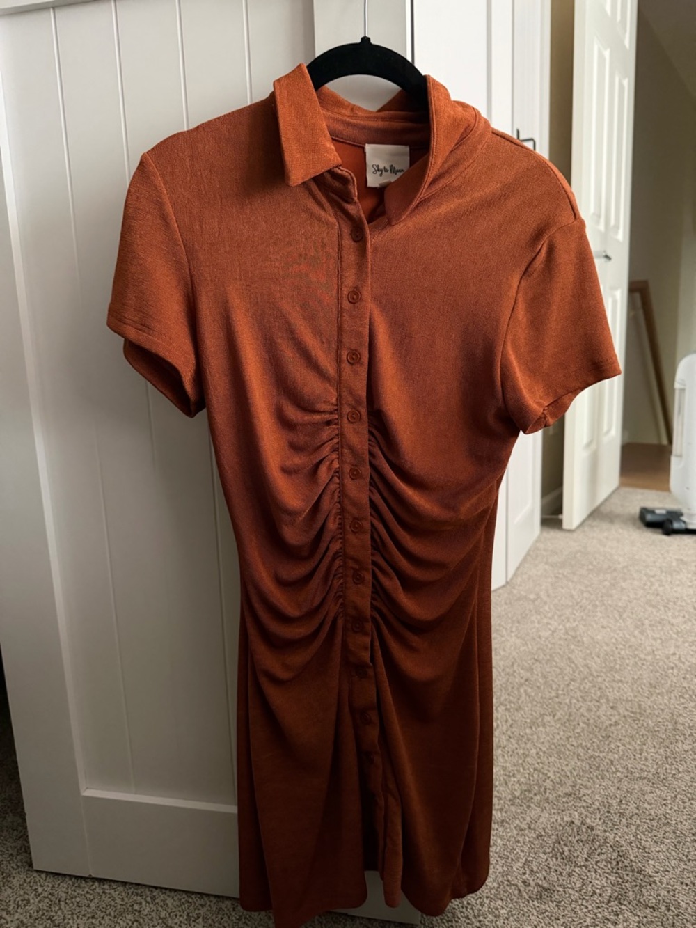 Ruched Button-Front Mini Dress in Rust